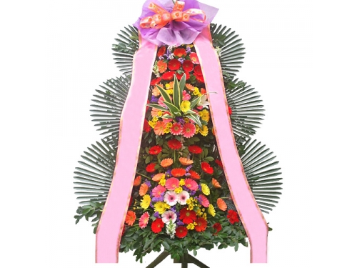 제주축하 3단