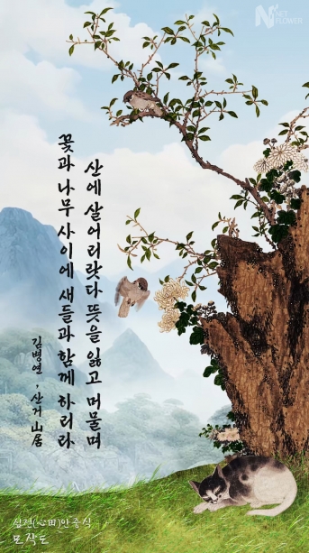 모작도